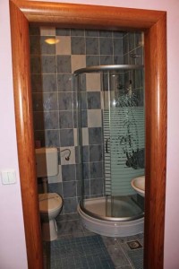 Apartmanska soba  s kuhinjom Lana - kupaonica -  Exclusive accommodation Zagreb