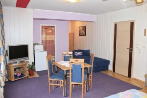 Apartment "President" Ivana - Exclusive accommodation Zagreb