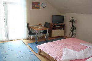 Apartmanske sobe "President" -  Exclusive accommodation Zagreb 